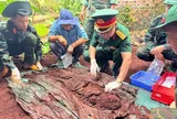 Quy tập 7 hài cốt liệt sĩ, Đội K76 kêu gọi thêm thông tin từ nhân chứng lịch sử