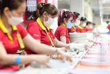 Sao mở doanh nghiệp vài triệu, mà 'khai tử' lại tốn cả trăm triệu?