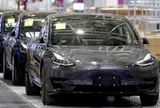Tesla vào Việt Nam, đường đua xe điện đã đông giờ thêm nóng