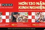 Những dấu hiệu cho thấy mèo đang được chăm sóc đúng cách