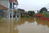 Nước sông dâng cao, hơn 3.000 hộ dân Ninh Bình 'chơi vơi' giữa dòng lũ