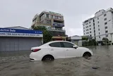 Nghệ An: Ô tô chết máy la liệt, tài xế mòn mỏi chờ cứu hộ