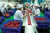 Một doanh nghiệp sắp chi hơn 1.500 tỷ đồng để di dời nhà máy khỏi TP.HCM