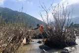 Nam thanh niên Hà Nội mất tích trên sông Mã: Nhờ nước bạn hỗ trợ tìm kiếm
