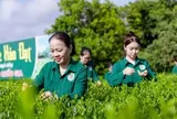 Mô hình 'Hợp tác xã xã hội chủ nghĩa' ở Thái Nguyên có gì đặc biệt?