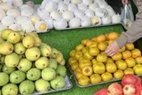 Giá cả đầu ngày: Cua biển xuống giá, người TP.HCM tranh thủ mua tận vựa; Hồng Đà Lạt về miền Tây giá từ 40.000 đồng/kg