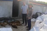 Chập điện tại trang trại, 13.000 con gà chết ngạt