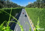 Hà Nội thí điểm phủ xanh trụ đường sắt, hầm chui, cầu vượt