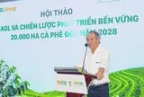 Dự án hơn 2.000 ha của Bầu Đức vừa được cấp phép tại Lào, chuẩn bị xây nhà máy gần 10.000 tấn/năm đón đầu thị trường tiêu thụ gần 30.000 tấn mỗi ngày