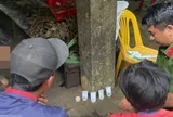 Công an bất ngờ kiểm tra 39 người tại các vườn sâm Ngọc Linh