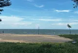 Phát hiện thi thể bác sĩ trôi dạt vào bãi biển