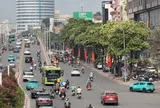 Cận cảnh những hàng hoa sữa nở trắng trời 'bủa vây' người Hà Nội