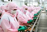 Chuyện lạ: Doanh nghiệp miền Tây đề xuất nhập khẩu lao động, nên không?