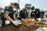 Đà Nẵng kêu gọi cung cấp thông tin về 360 liệt sĩ hy sinh Tết Mậu Thân 1968