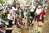'Sức mạnh mềm' thúc đẩy du lịch qua lăng kính văn hóa ẩm thực