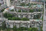 Chung cư gần 50 năm tuổi ở Nghệ An trơ cốt thép, rễ cây bám kín tường