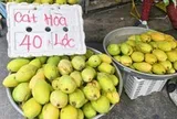 Giá cả đầu ngày: Xoài cát Hòa Lộc giá 'dễ thở', còn 40.000 đồng/kg, cam xoàn đắt gấp 3 lần cam sành