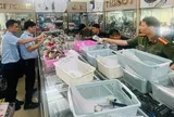 Chủ cửa hàng bày bán hơn 2.000 đồng hồ giả mạo 10 thương hiệu nổi tiếng, có cả Rolex