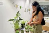 Đến triển lãm của nghệ sĩ Pháp, xem cây cối phát tín hiệu