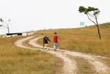 Ngắm đồi Phượng Hoàng ở Quảng Ninh vào mùa nhuộm vàng đất trời