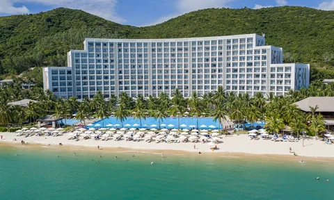 Từ nghỉ dưỡng đến “đảo hội” 24/7: Vì sao Hòn Tre luôn hút khách quanh năm?