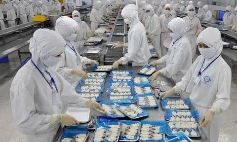 Giải pháp đáp ứng quy định đóng gói và ghi nhãn đối với thủy sản Việt Nam xuất khẩu sang thị trường Nhật Bản