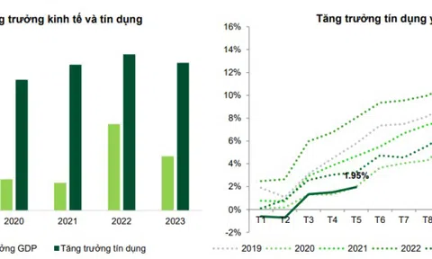 Đánh giá tình trạng hoạt động của ngân hàng thương mại Việt Nam