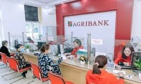 Các nhân tố ảnh hưởng đến lượng vốn vay của hộ sản xuất nông nghiệp tại Agribank Chi nhánh huyện Vĩnh Thuận – Kiên Giang II