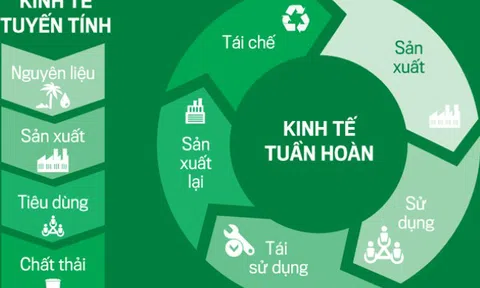 Đẩy mạnh phát triển kinh tế tuần hoàn ở Việt Nam hiện nay