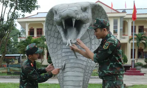 Bộ đội đặc công 'nặn' rắn hổ mang khổng lồ