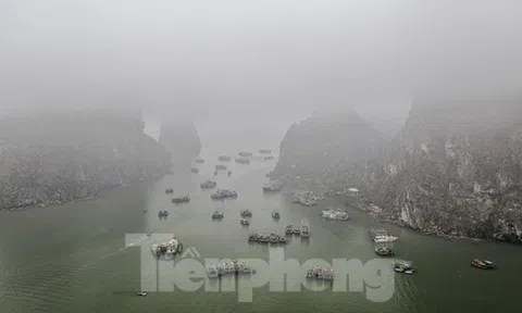 Lạ lẫm hình ảnh thành phố di sản trong sương mù