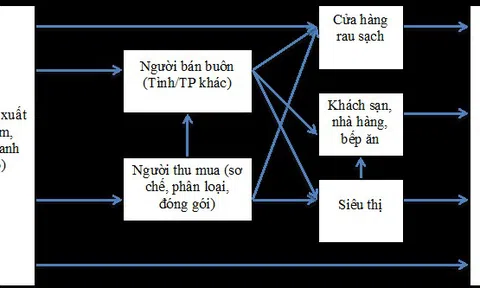 Phân tích chuỗi cung ứng khoai tây tại tỉnh Lâm Đồng