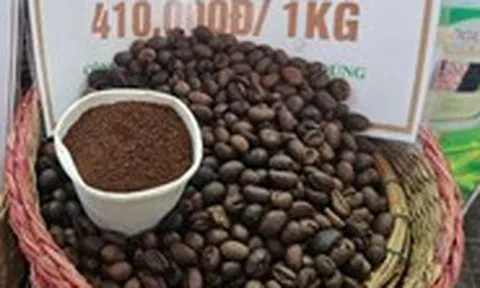 Giá cà phê thế giới quay đầu tăng, xuất khẩu cà phê Việt Nam có thể đạt đến 8 tỉ USD