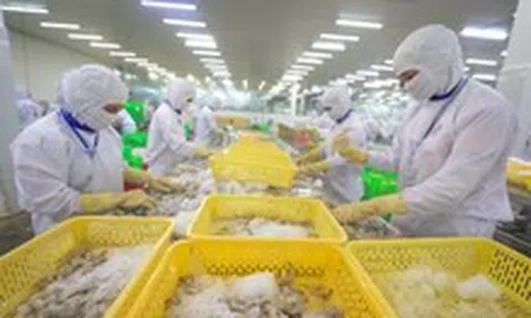 Từ tôm đến gỗ, nhiều doanh nghiệp Việt tăng tốc giao hàng sang Mỹ