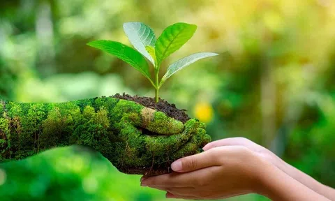 Tăng cường trách nhiệm báo cáo môi trường tại các nền kinh tế đang phát triển