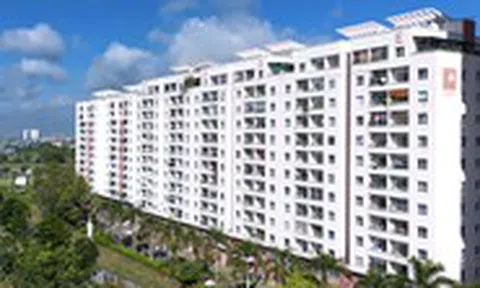 Không lập 7.260 tờ hóa đơn, ban quản trị chung cư bị phạt thuế gần 120 tỉ đồng