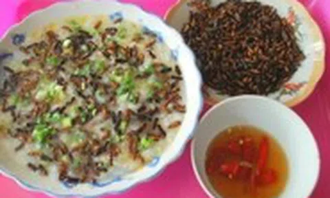 Mối cánh rừng Trường Sơn: Món đại ngàn ngon nức nở
