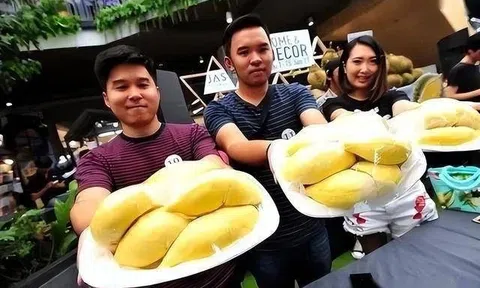 Sầu riêng Thái Lan đến thời bị khách Trung chán ghét