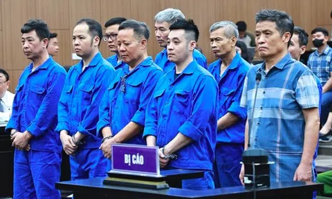 Vụ buôn lậu đất hiếm gây thiệt hại 736 tỷ đồng: Cựu Thứ trưởng Bộ TN&MT được đề nghị án treo