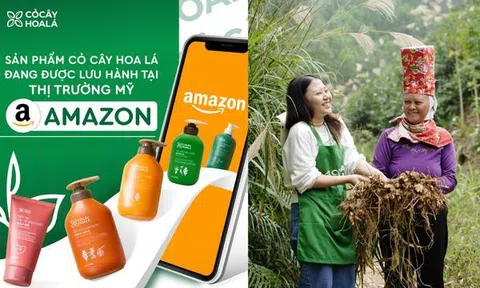 Tuổi trẻ xông pha, nông sản vươn xa: Cỏ Cây Hoa Lá đổ bộ Amazon