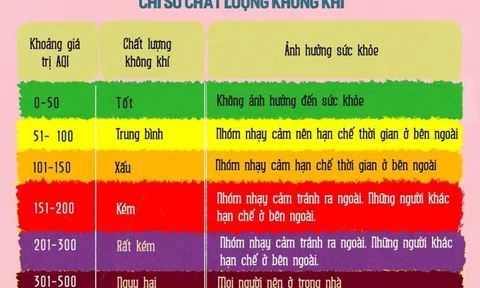 Chỉ số chất lượng không khí là gì? Ảnh hưởng của ô nhiễm không khí đến sức khỏe con người