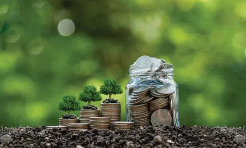 Thị trường tài chính xanh Việt Nam: Những bước tiến và rào cản cần vượt qua