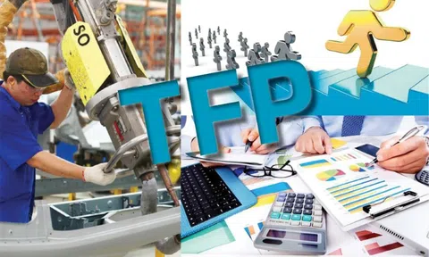 Đóng góp TFP vào giá trị gia tăng của các ngành kinh tế tỉnh Bà Rịa – Vũng Tàu: Tiếp cận dữ liệu doanh nghiệp
