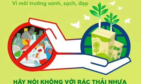 Mối quan hệ giữa Ý thức về môi trường với Ý định sử dụng bao bì xanh của thế hệ Gen Y và Gen Z tại Thành phố Hồ Chí Minh