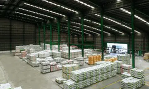 Greenfeed tiếp tục báo lãi
