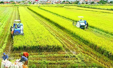 Phát triển nông nghiệp Việt Nam bền vững trong kỷ nguyên mới