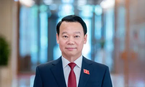 Chuyển 86 thẩm quyền của Bộ trưởng Bộ Nông nghiệp và Môi trường về cấp tỉnh