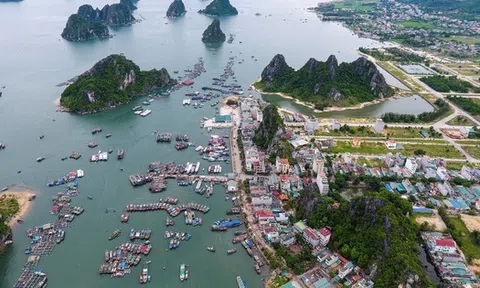 Hàng chục cán bộ ở huyện Vân Đồn xin nghỉ hưu sớm