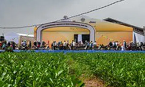 Cận cảnh nơi chuẩn bị khởi công dự án hơn 1,5 tỉ USD của Tập đoàn Trump tại Hưng Yên