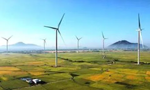 Gỡ vướng cho các dự án năng lượng tái tạo ở Ninh Thuận